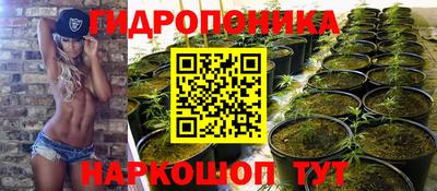 альфа пвп Славгород