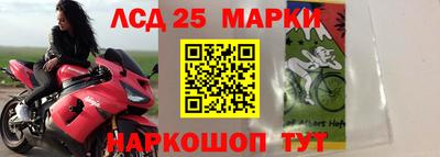 альфа пвп Славгород