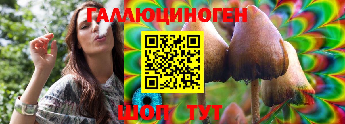Псилоцибиновые грибы GOLDEN TEACHER  Вход с VPN  Курск 