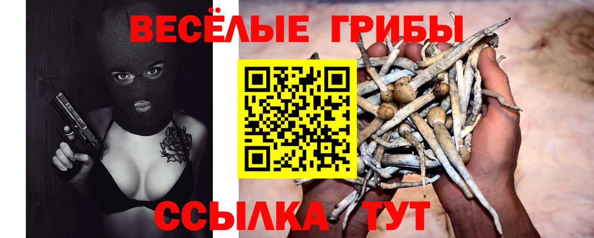 Галлюциногенные грибы мухоморы Курск